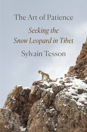 The Art of Patience: Seeking the Snow Leopard in Tibet by Sylvain Tesson