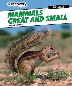 Mammals Great and Small by Meredith Costain