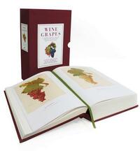 Wine Grapes: A Complete Guide to 1,368 Vine Varieties, Including Their Origins and Flavours by Jose Vouillamoz, Julia Harding, Jancis Robinson