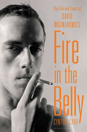 Fire in the Belly: The Life and Times of David Wojnarowicz by Cynthia Carr