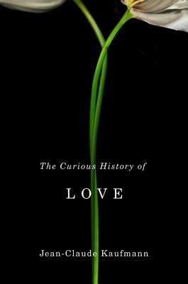 The Curious History of Love by Jean-Claude Kaufmann