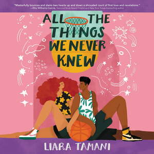 All the Things We Never Knew by Liara Tamani