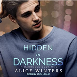 Hidden in Darkness by Alice Winters