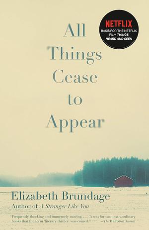 All Things Cease to Appear: A novel by Elizabeth Brundage