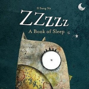 Zzzzz by Il Sung Na