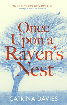 Once Upon a Raven's Nest by Catrina Davies