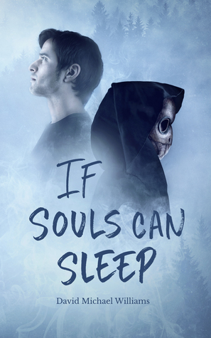 If Souls Can Sleep by David Michael Williams
