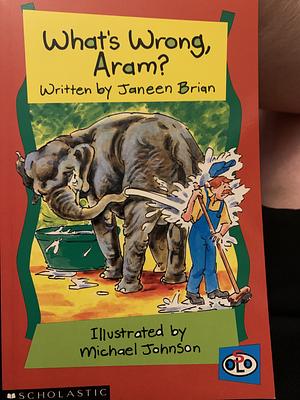 What's Wrong, Aram? by Janeen Brian