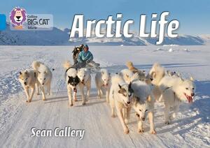 Arctic Life by Sean Callery