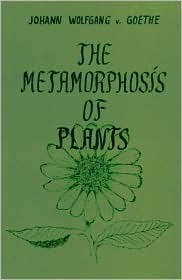 The Metamorphosis of Plants by Johann Wolfgang von Goethe