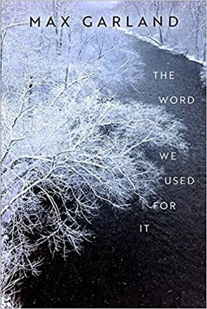 The Word We Used For It by Max Garland