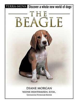 The Beagle [With Dog Training DVD] by Diane Morgan