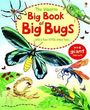 The Usborne Big Book of Big Bugs: And a Few Little Ones Too... by Fabiano Fiorin, Emily Bone