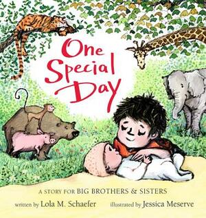 One Special Day: A Story for Big Brothers and Sisters by Lola M. Schaefer