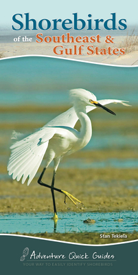 Shorebirds of the Southeast & Gulf States: Your Way to Easily Identify Shorebirds by Stan Tekiela