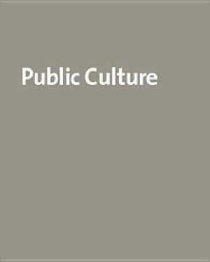 Technologies of Public Persuasion, Volume 15: An Accidental Issue by Dilip Parameshwar Gaonkar, Elizabeth A. Povinelli