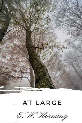 At Large by E. W. Hornung