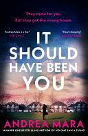 It Should Have Been You by Andrea Mara