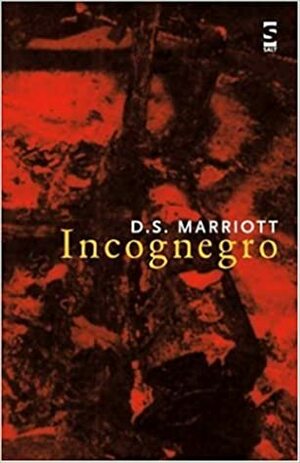 Incognegro by D.S. Marriott
