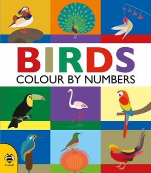 Birds: Colour by Numbers by Sam Hutchinson