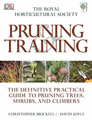 Rhs Pruning and Training by David Joyce, Christopher Brickell