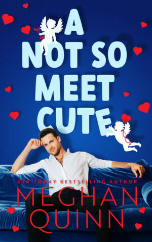 A Not So Meet Cute by Meghan Quinn