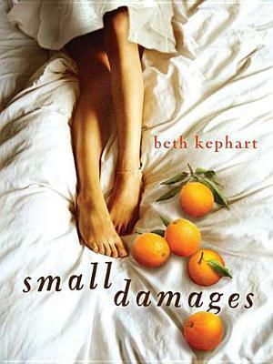 Small Damages by Beth Kephart