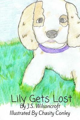 Lily Gets Lost by J. S. Wilsoncroft