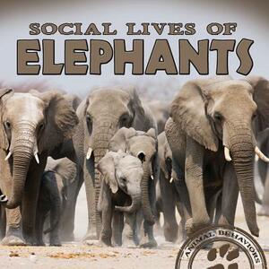 Social Lives of Elephants by Mari Schuh