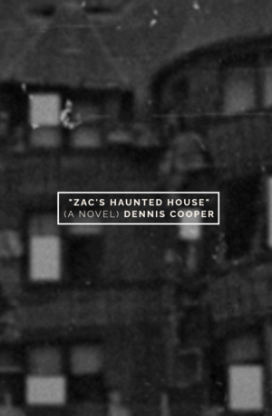 Zac's Haunted House by Dennis Cooper