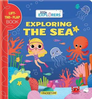 Little Explorers: Exploring the Sea: (a Lift the Flap Book) by 