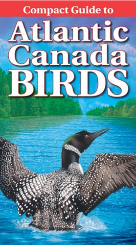 Compact Guide to Atlantic Canada Birds by Roger Burrows