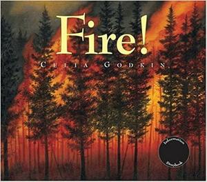 Fire!: A Renewal of a Forest by Celia Godkin