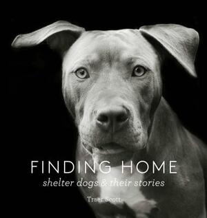 Finding Home: Shelter Dogs and Their Stories (a Photographic Tribute to Rescue Dogs) by Traer Scott