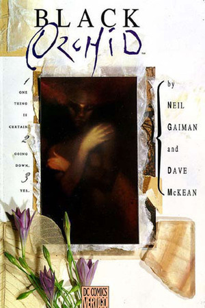 Black Orchid by Dave McKean, Neil Gaiman