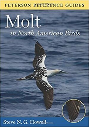 Molt in North American Birds by Steve N.G. Howell