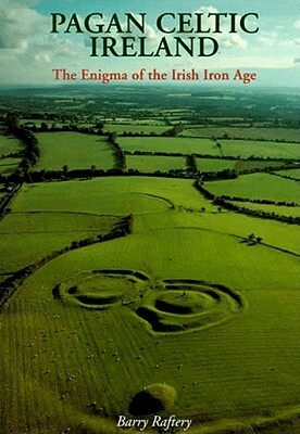 Pagan Celtic Ireland: The Enigma of the Irish Iron Age by Barry Raftery