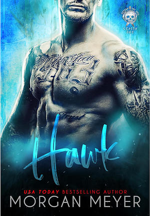 Hawk: a Fated Mates Shifter Romance (Beyond the Veil) by Morgan Meyer