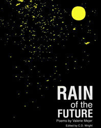 Rain of the Future by Valerie Mejer