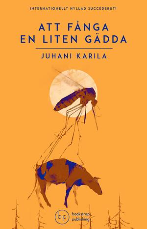 Att fånga en liten gädda by Emil Johansson, Juhani Karila