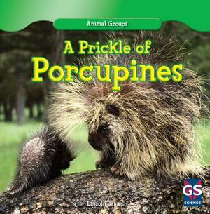 A Prickle of Porcupines by Lincoln James