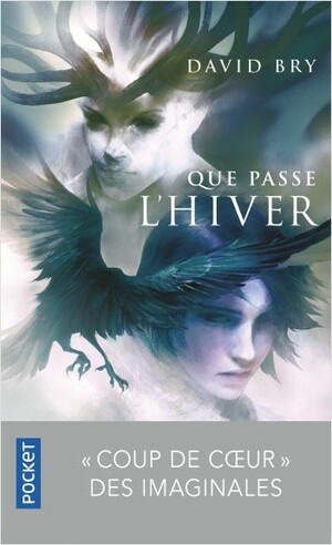 Que passe l'hiver by David Bry