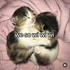 gracequills's profile picture