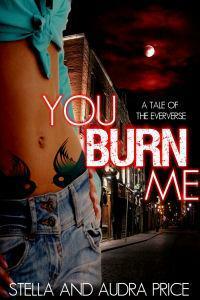 You Burn Me by Audra Price, Stella Price