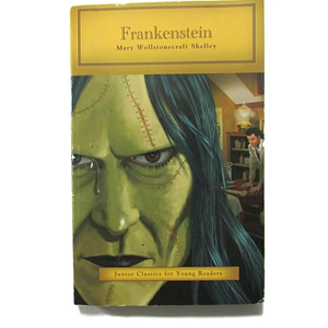 Frankenstein : Junior Classics For Young Readers by Mary Shelley