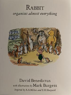 Rabbit Organises Almost Everything by David Benedictus