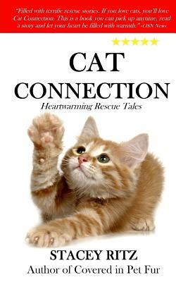 Cat Connection: Heartwarming Rescue Tales by Stacey Ritz