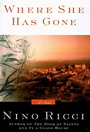 Where She Has Gone by Nino Ricci