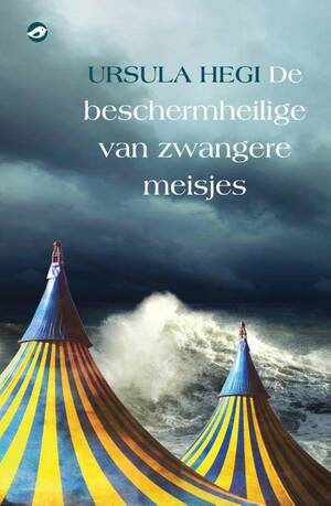 De beschermheilige van de zwangere meisjes by Ursula Hegi