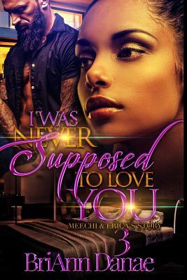 I Was Never Supposed To Love You 3: Meechi & Erica's Story by BriAnn Danae